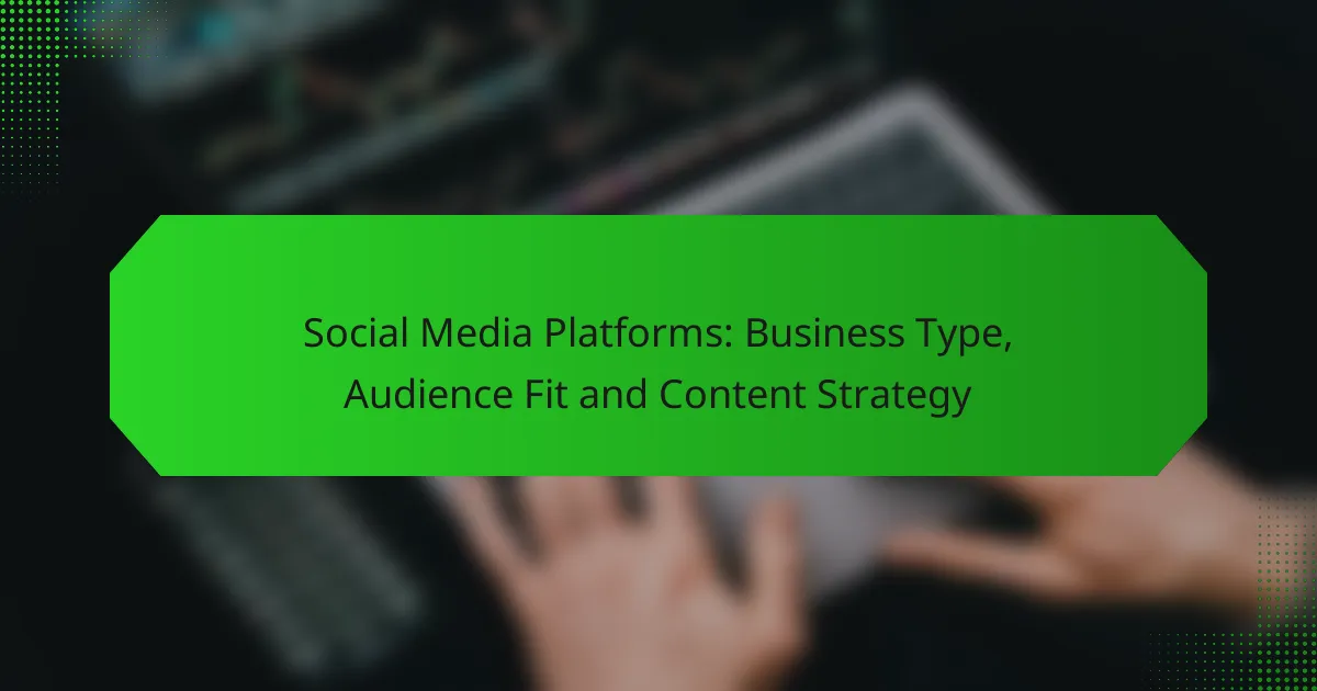Soziale Medien Plattformen: Geschäftstyp, Zielgruppenanpassung und Content-Strategie