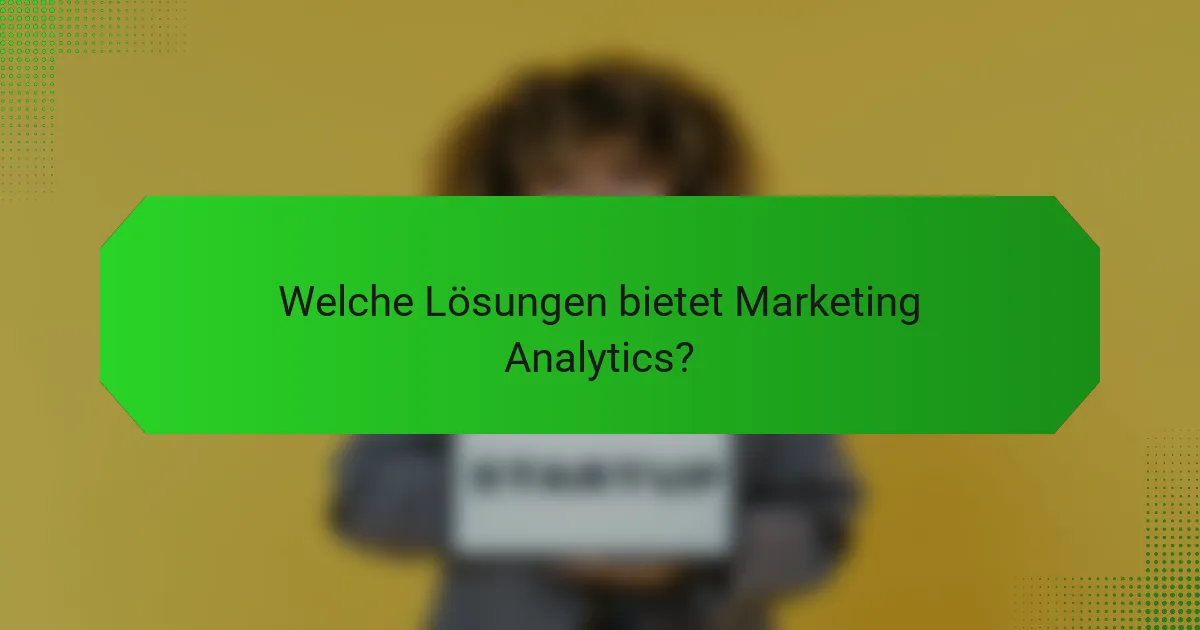 Welche Lösungen bietet Marketing Analytics?
