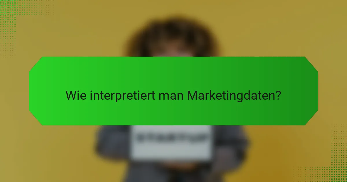 Wie interpretiert man Marketingdaten?